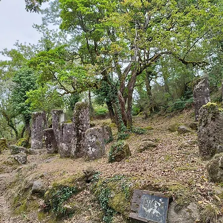 Casa Do Corgo بيت للعطل