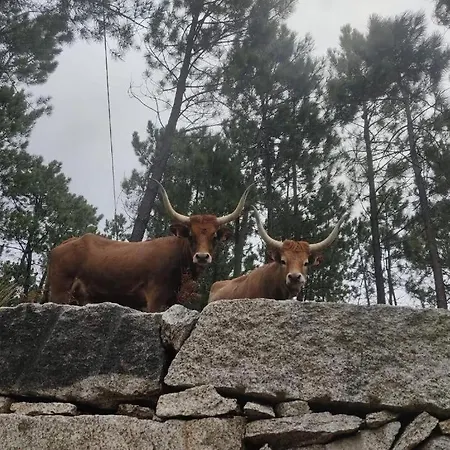 بيت للعطل Casa Do Corgo *
