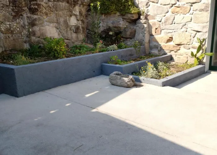 Casa Do Corgo Tatil Evi